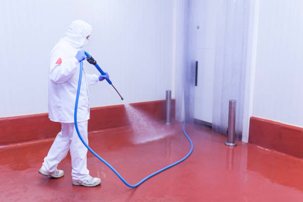 Best Factory Floor Cleaning  in Grant, MN
