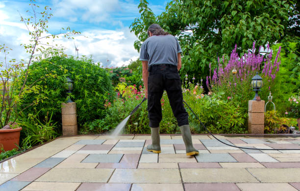 Best Animal Enclosure Cleaning  in Grant, MN