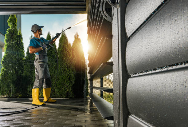 Best Sidewalk and Walkway Cleaning  in Grant, MN